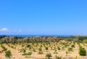 2 prime development plots for sale in kouklia, paphos