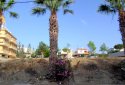 2 residential plots for sale in Paphos, Paphos