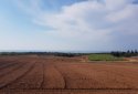 Agricultural plot for sale in Anarita village, Paphos 
