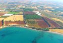 beacchfront plots for sale in PAPHOS