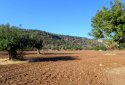 Beachfront land for sale in Neo Chorio, Paphos