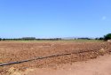 Beachfront land for sale in Timi village, Paphos