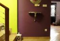 Five bedroom house for sale in Mesoyi, Paphos
