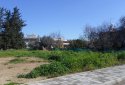 For sale residential plot in Paphos