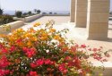 Four bedroom villa for sale in Peyia, Coral Bay 