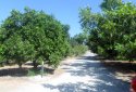 Four bedrooms House for sale in Ebma village, Paphos 