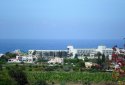 Land for sale in Chloraka