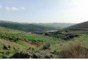 Land for sale in Pentalia village, Paphos