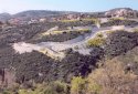 Land parcel for sale in Tsada village, Paphos