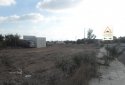 Land Plots for sale in Emba village, Paphos