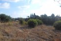 Land Plots for sale in Emba village, Paphos