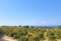 large acreage for sale in kouklia village, paphos