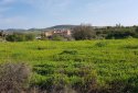 Large plot for sale in Anarita village, Paphos