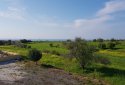 Large plot for sale in Anarita village, Paphos