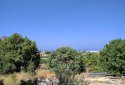 Large plot with sea views for sale in Chloraka village, Paphos