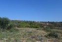 Large residential land for sale in Tala, Paphos