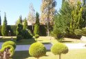 luxury property in Tala village, Paphos