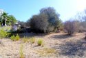 Plot for sale in armou village