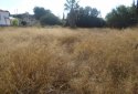 Plot for sale in Tala, paphos