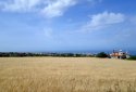 Plot for sale in Tala with sea views, Paphos