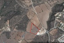 Land  for sale in Tala Ref.SB10940