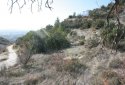 plot for sale in tsada village, Paphos