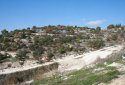 plot for sale in tsada village, Paphos
