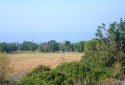 Plot of land for sale in Tala village, Paphos