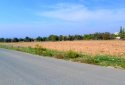 Plot of land for sale in Tala village, Paphos