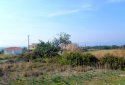 Plot of land for sale in Tala village, Paphos