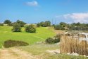plot with an incomplete resiential structure for sale in neo chorio, polis, paphos 