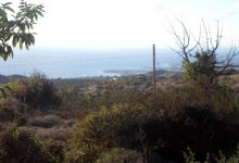 Land  for sale in Tala Ref.SB10930