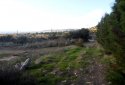 Plot with sea views for sale in Tala Village, Paphos