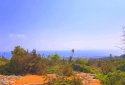 Private residential home in a large green area, Peyia