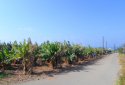 Residential plot for sale in Kissonerga, Paphos, Cyprus  
