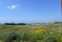 Rural plot of land for sale in Anarita village, Paphos, cyprus