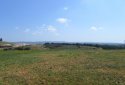 Rural plot of land for sale in Anarita village, Paphos, cyprus