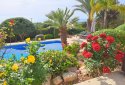 three bedrooms resale villa in peyia for sale, paphos