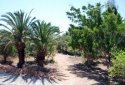 Three bedrooms villa for sale in Sea Caves, Paphos
