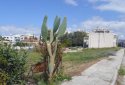 Two plots for sale in Paphos town, paphos