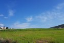 Unique large plot of land for sale in Anarite village, Paphos